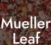 Mueller Leaf Blower