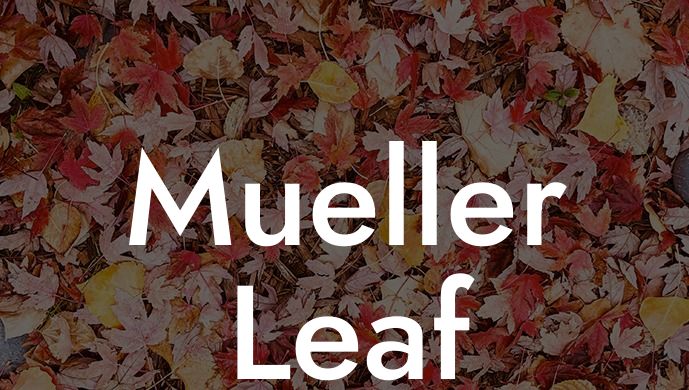 Mueller Leaf Blower