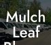 Mulch Leaf Blower Revolution