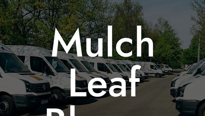 Mulch Leaf Blower Revolution