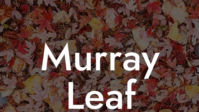 Murray Leaf Blower