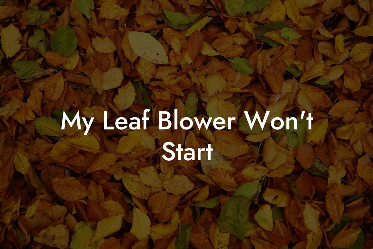 My Leaf Blower Won't Start