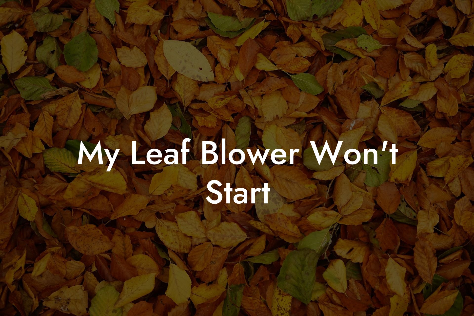 My Leaf Blower Won't Start