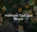 Northern Tool Leaf Blower