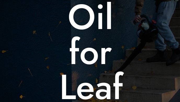 Oil for Leaf Blower