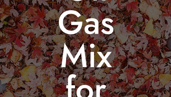 Oil Gas Mix for Leaf Blower