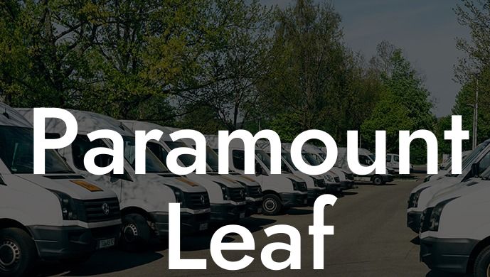 Paramount Leaf Blower