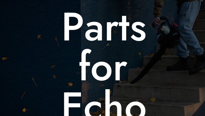 Parts for Echo Leaf Blower