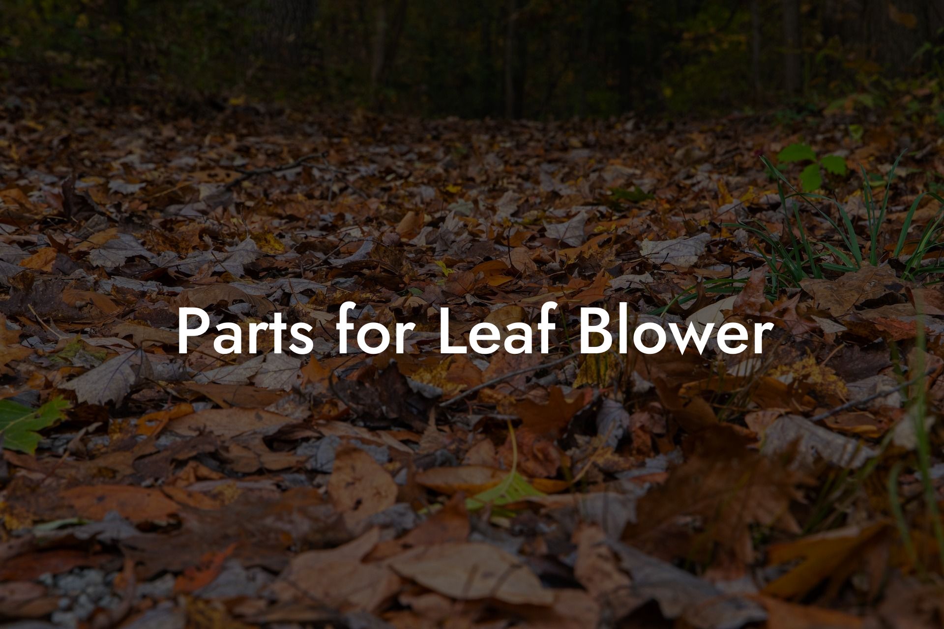 Parts for Leaf Blower