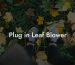 Plug in Leaf Blower