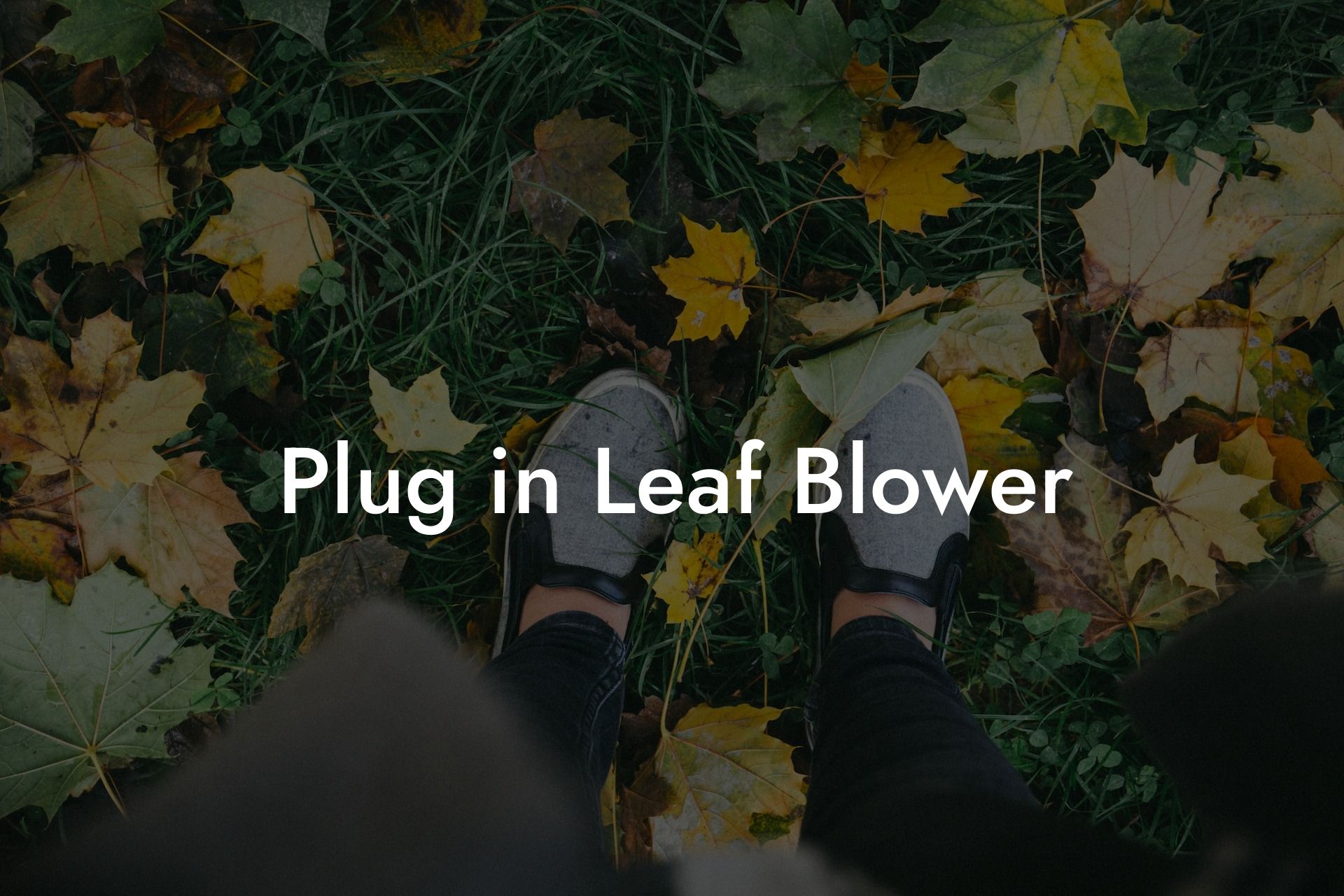 Plug in Leaf Blower