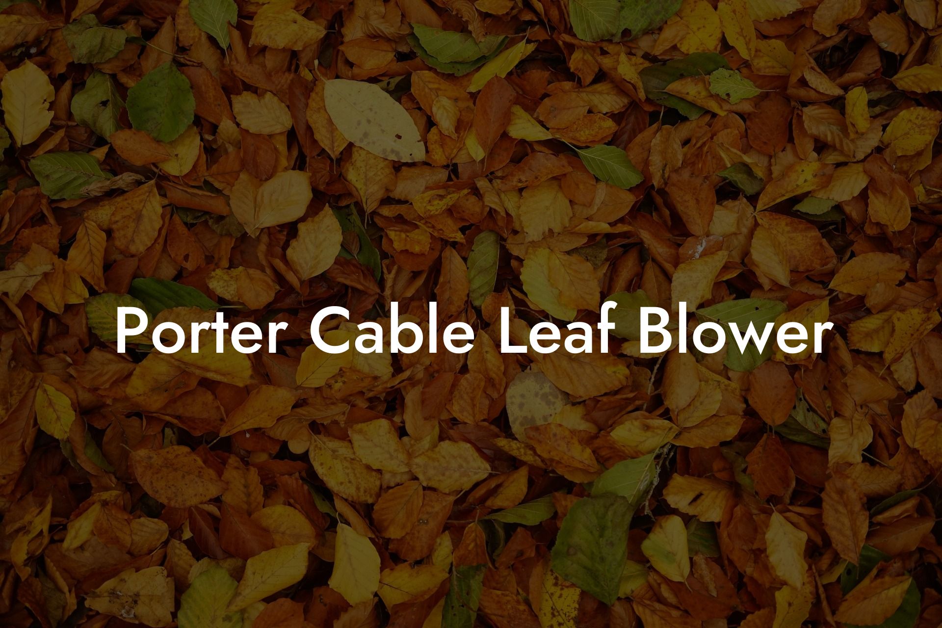 Porter Cable Leaf Blower