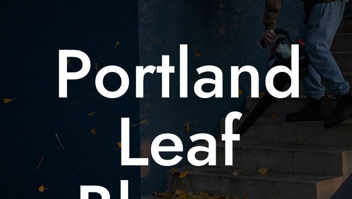 Portland Leaf Blower Ban