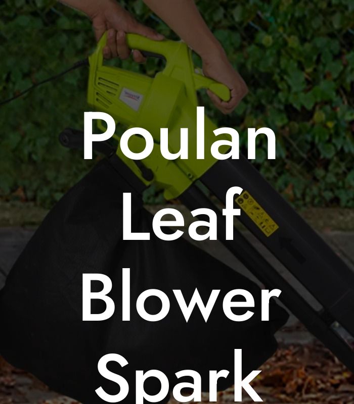 Poulan Leaf Blower Spark Plug