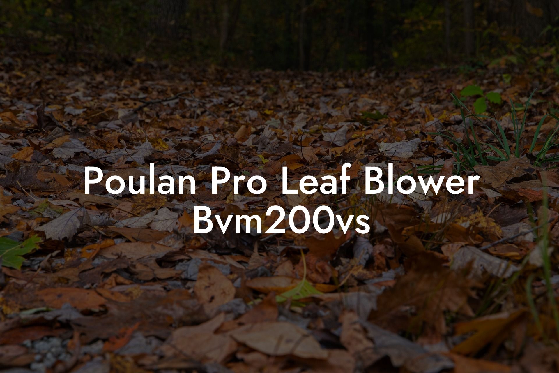 Poulan Pro Leaf Blower Bvm200vs