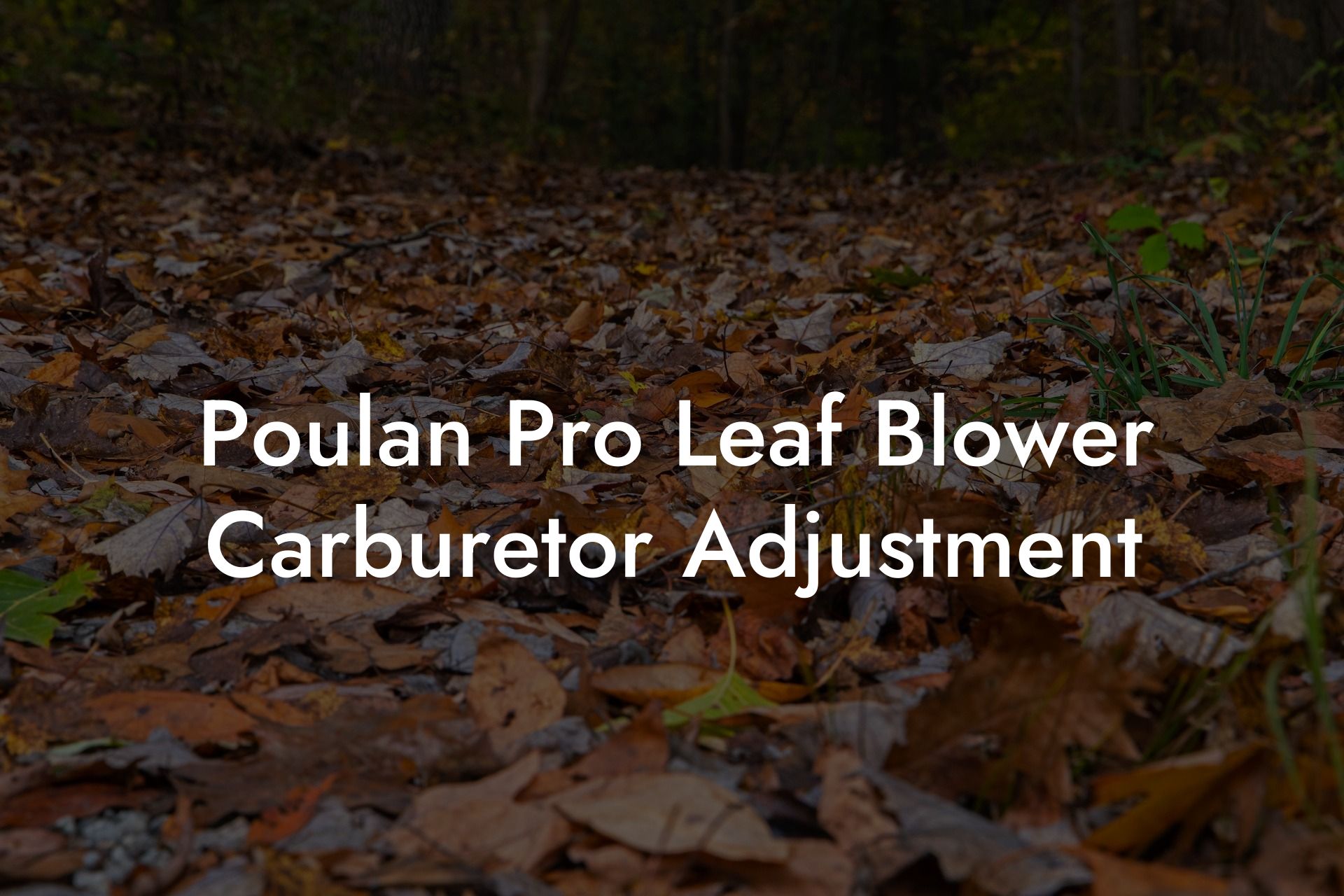 Poulan Pro Leaf Blower Carburetor Adjustment