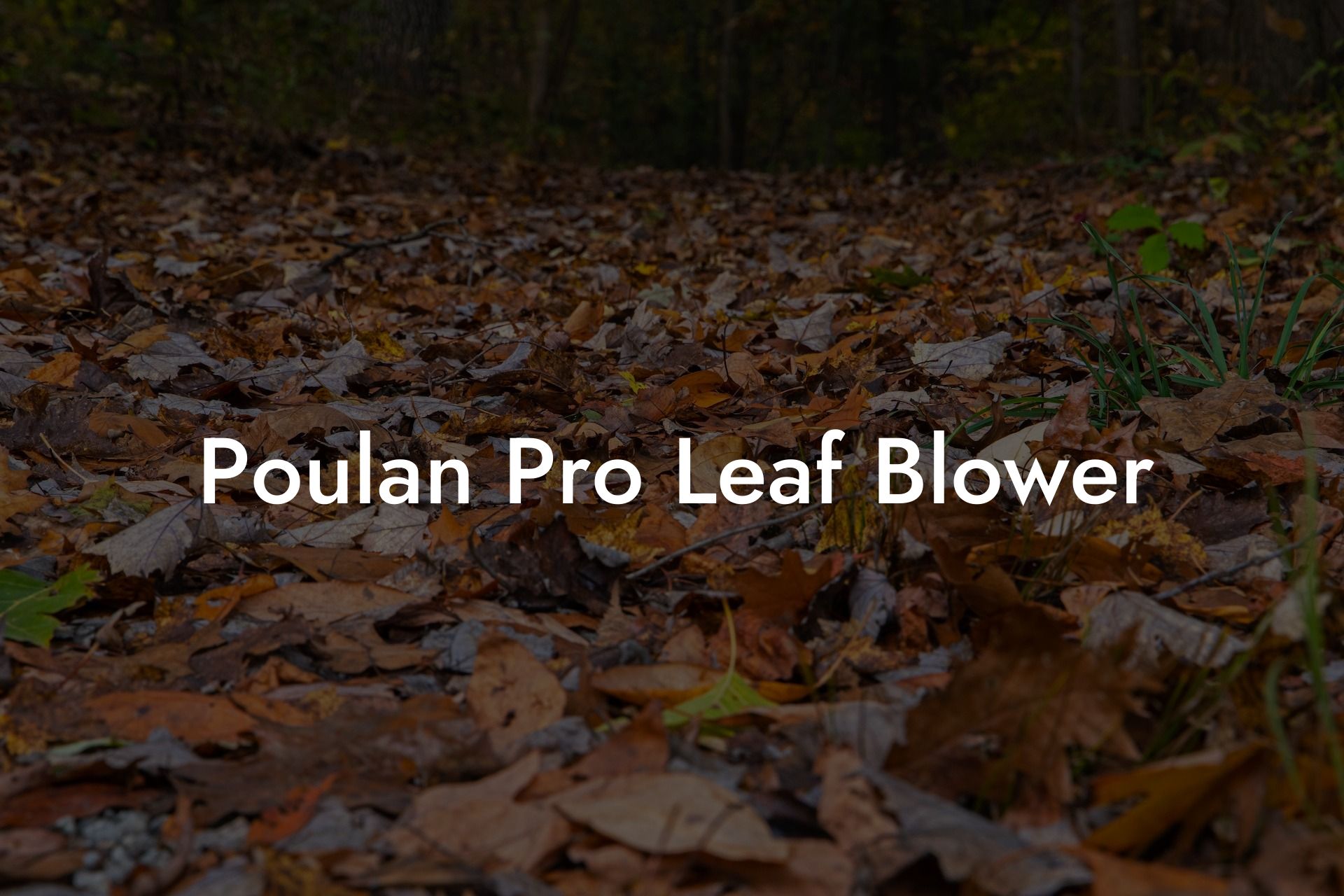 Poulan Pro Leaf Blower