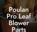 Poulan Pro Leaf Blower Parts