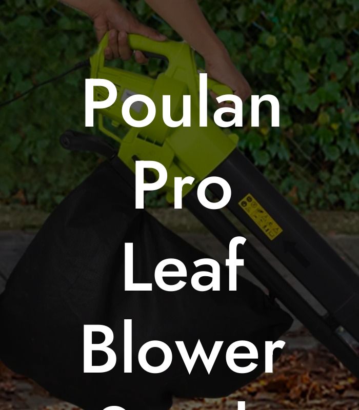 Poulan Pro Leaf Blower Spark Plug