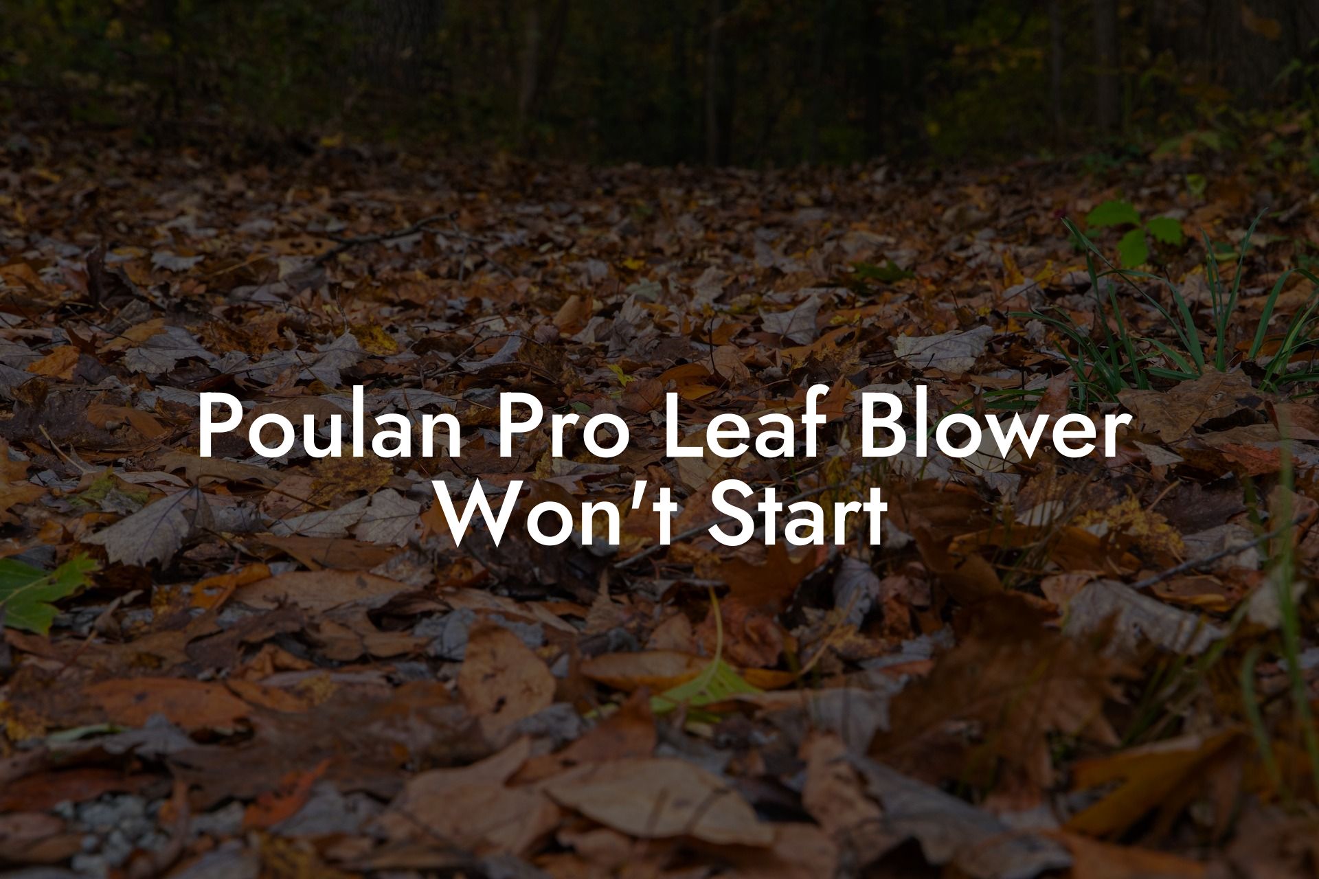 Poulan Pro Leaf Blower Won't Start