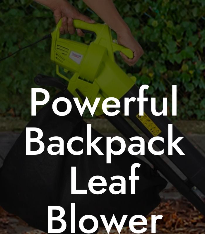 Powerful Backpack Leaf Blower