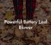 Powerful Battery Leaf Blower