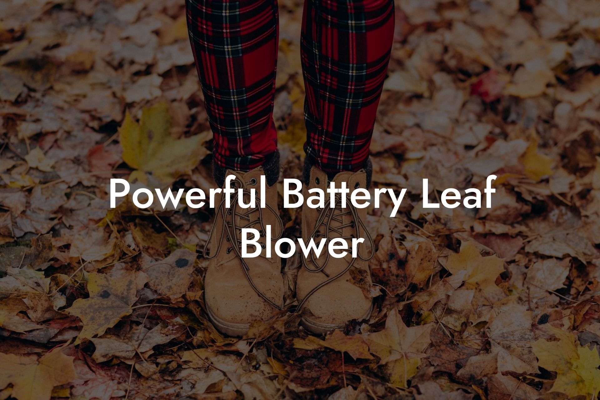 Powerful Battery Leaf Blower