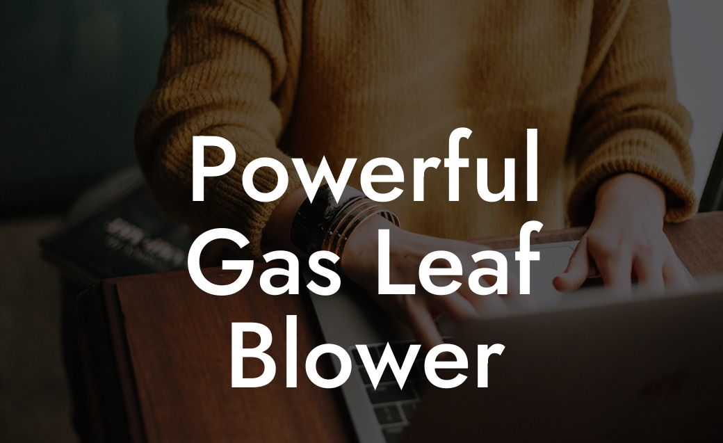 Powerful Gas Leaf Blower