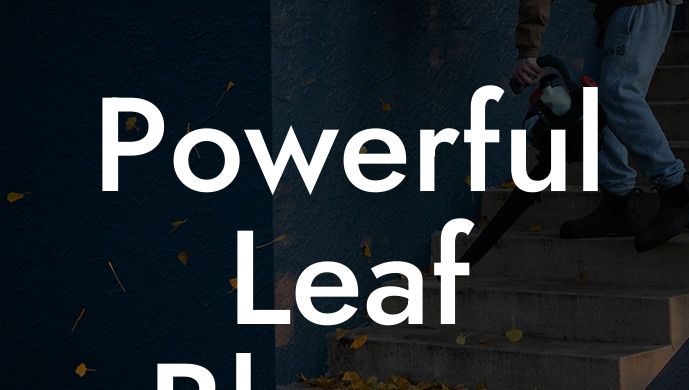 Powerful Leaf Blower Cordless