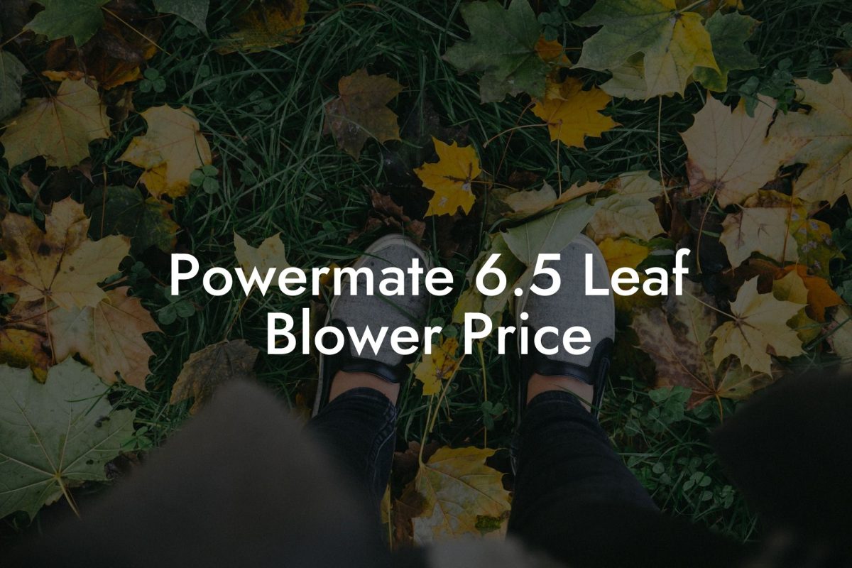 Powermate 6.5 Leaf Blower Price