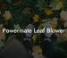 Powermate Leaf Blower