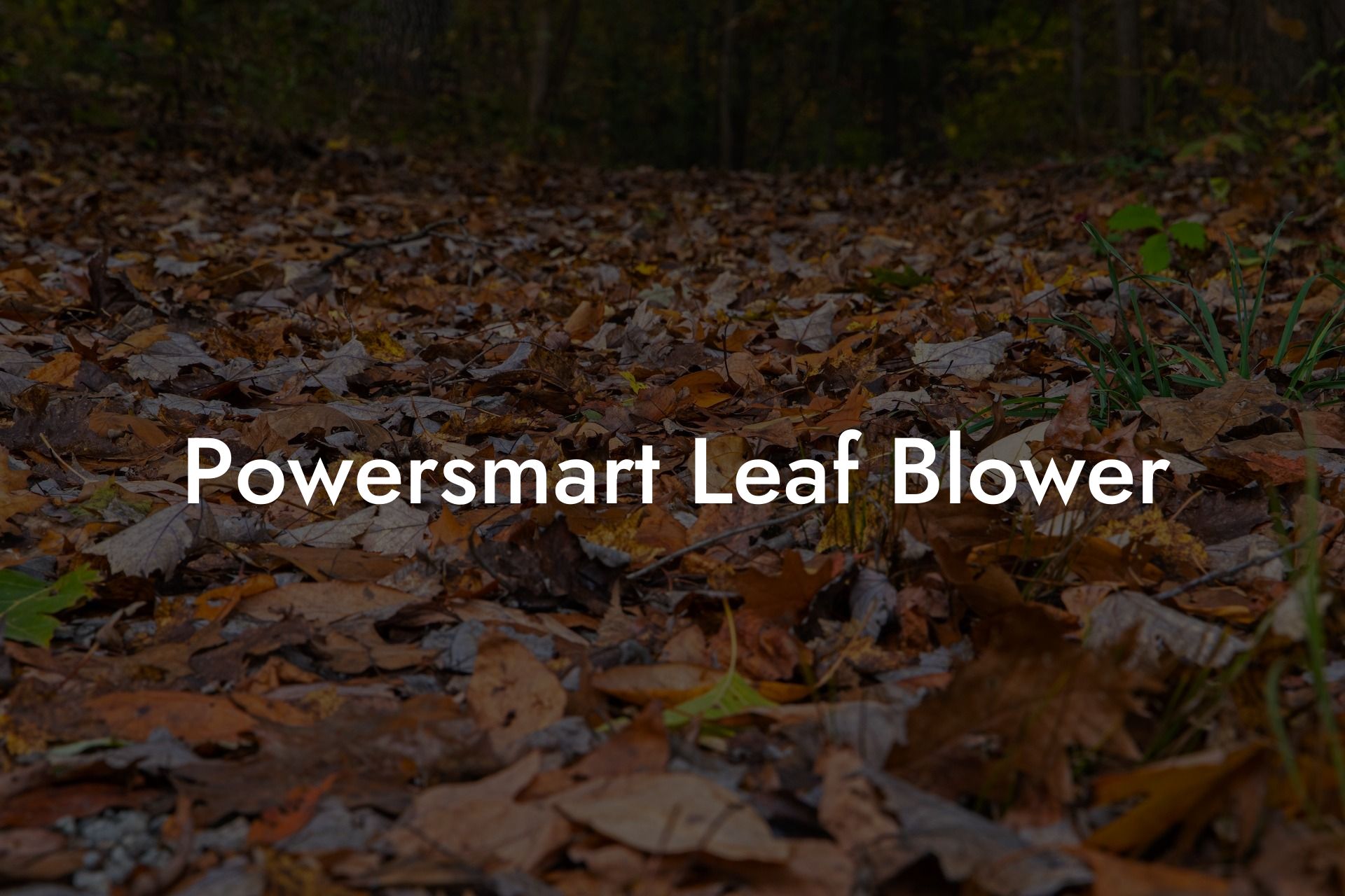 Powersmart Leaf Blower