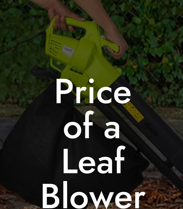 Price of a Leaf Blower