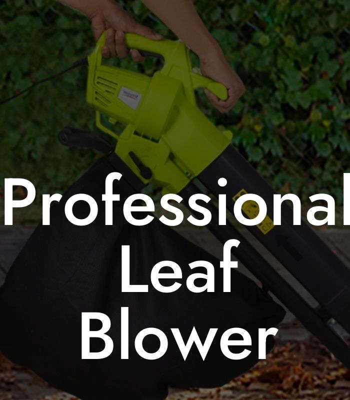 Professional Leaf Blower