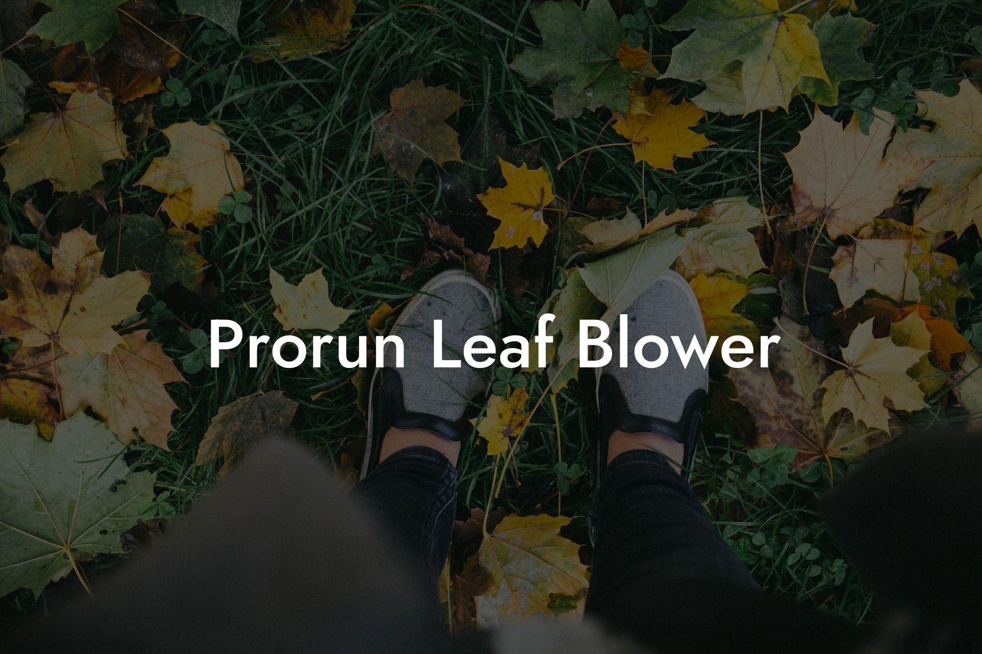 Prorun Leaf Blower