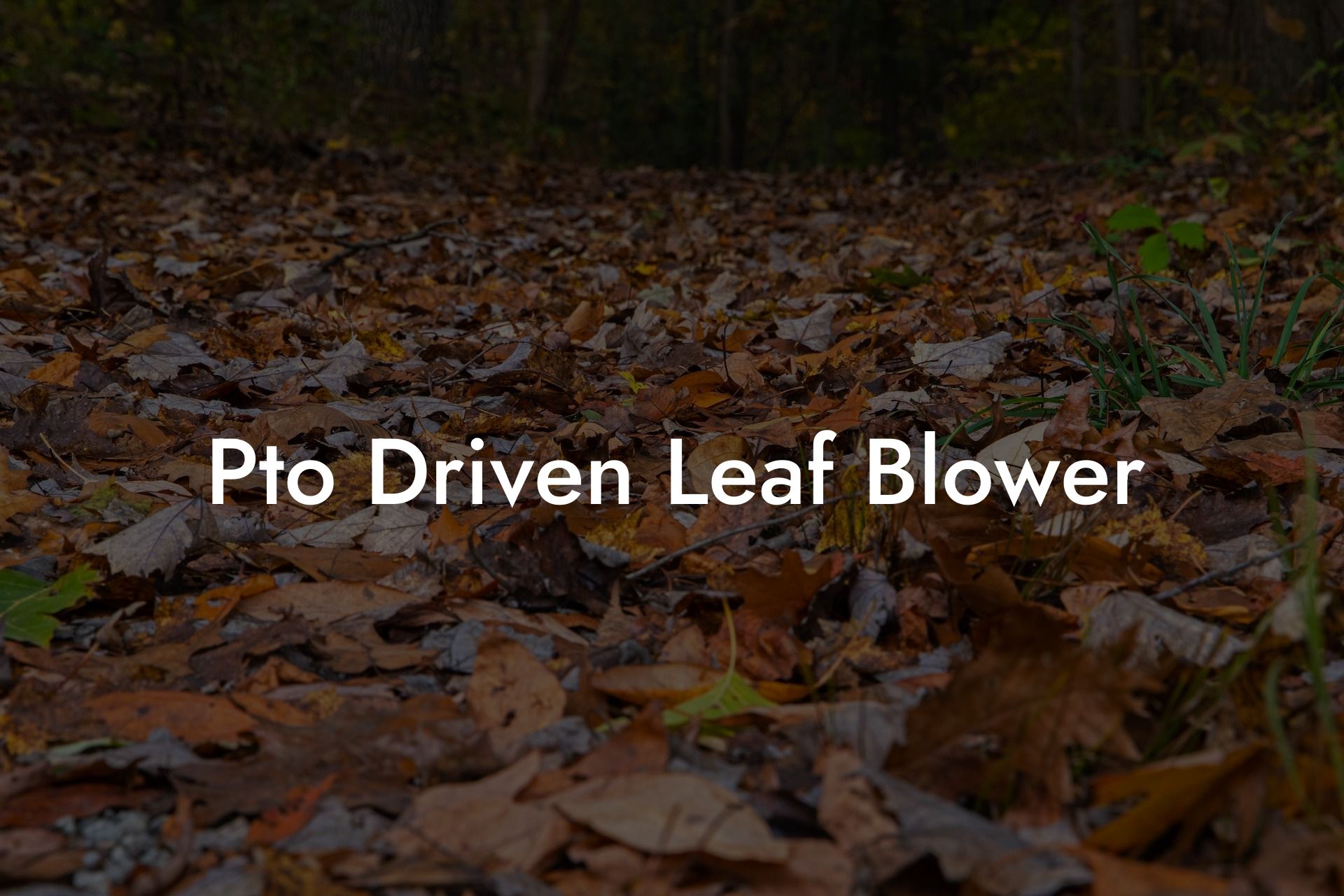 Pto Driven Leaf Blower