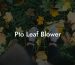 Pto Leaf Blower