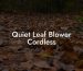 Quiet Leaf Blower Cordless