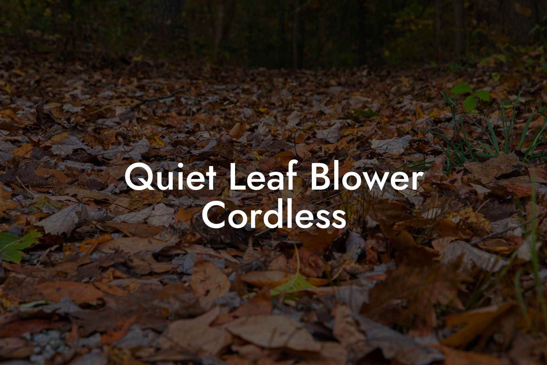 Quiet Leaf Blower Cordless