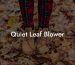 Quiet Leaf Blower