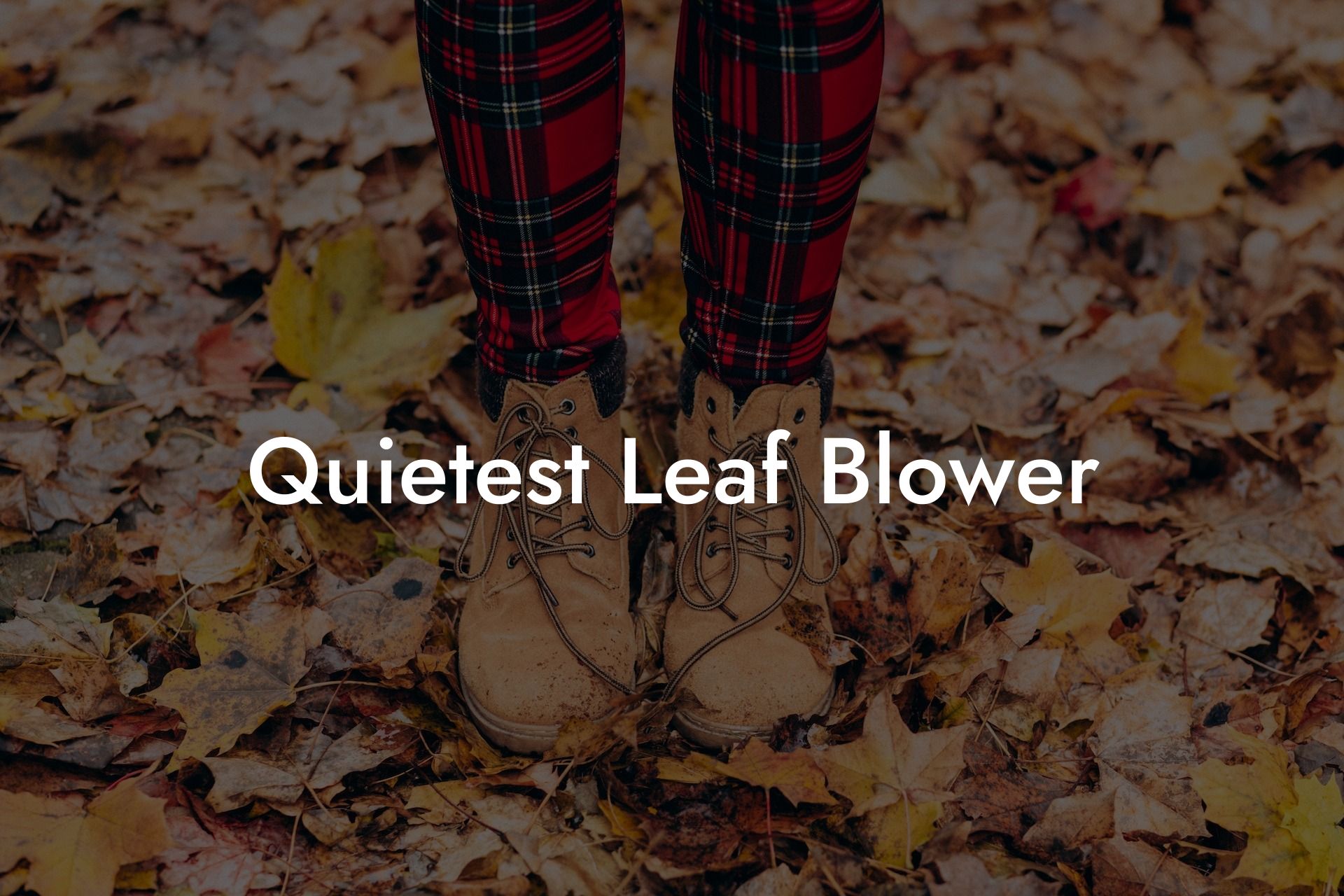 Quietest Leaf Blower