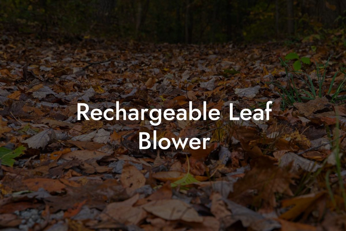 Rechargeable Leaf Blower