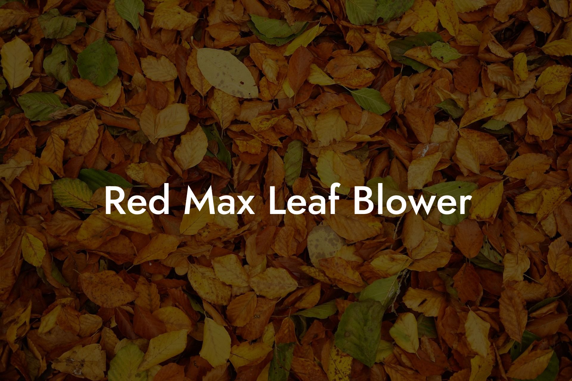 Red Max Leaf Blower