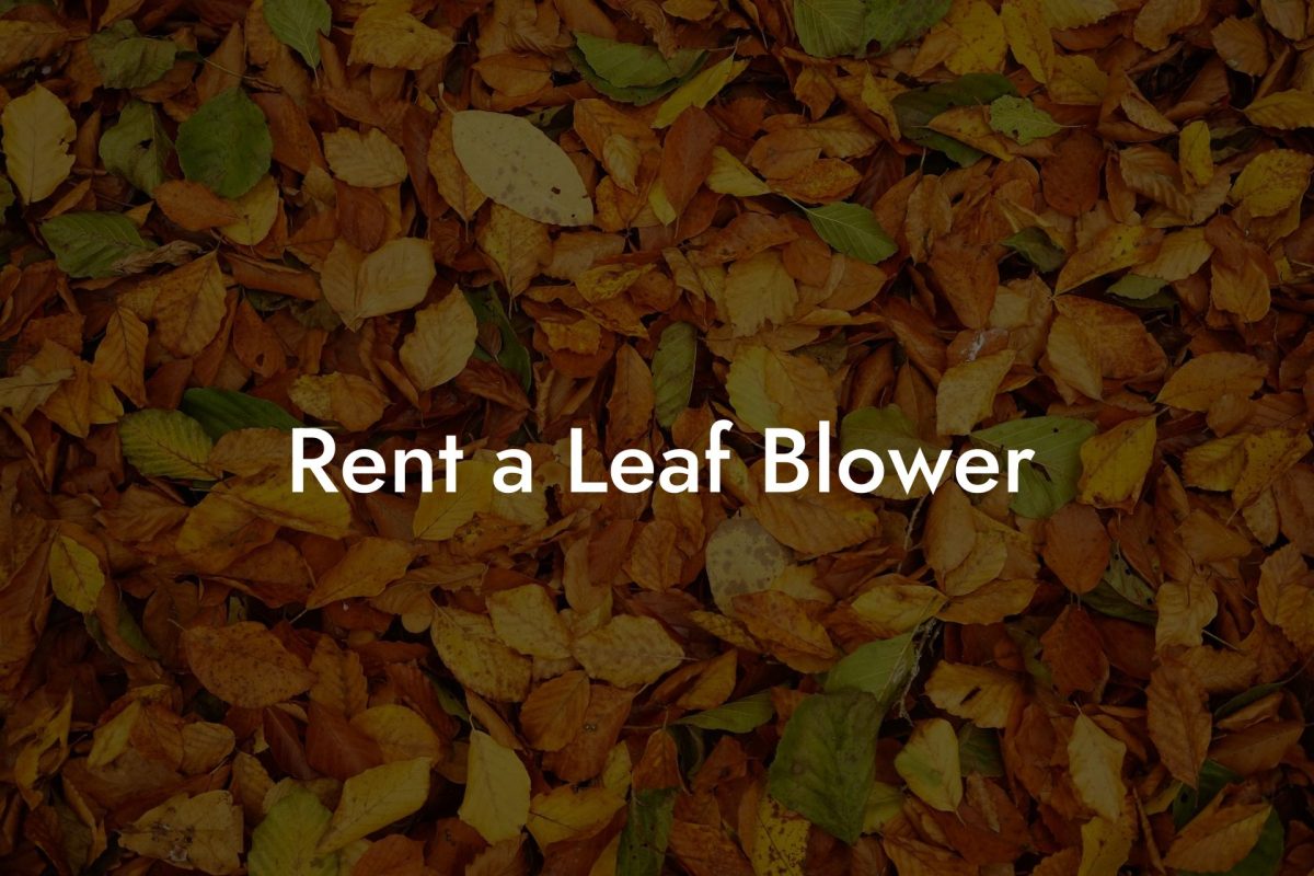 Rent a Leaf Blower