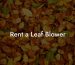 Rent a Leaf Blower