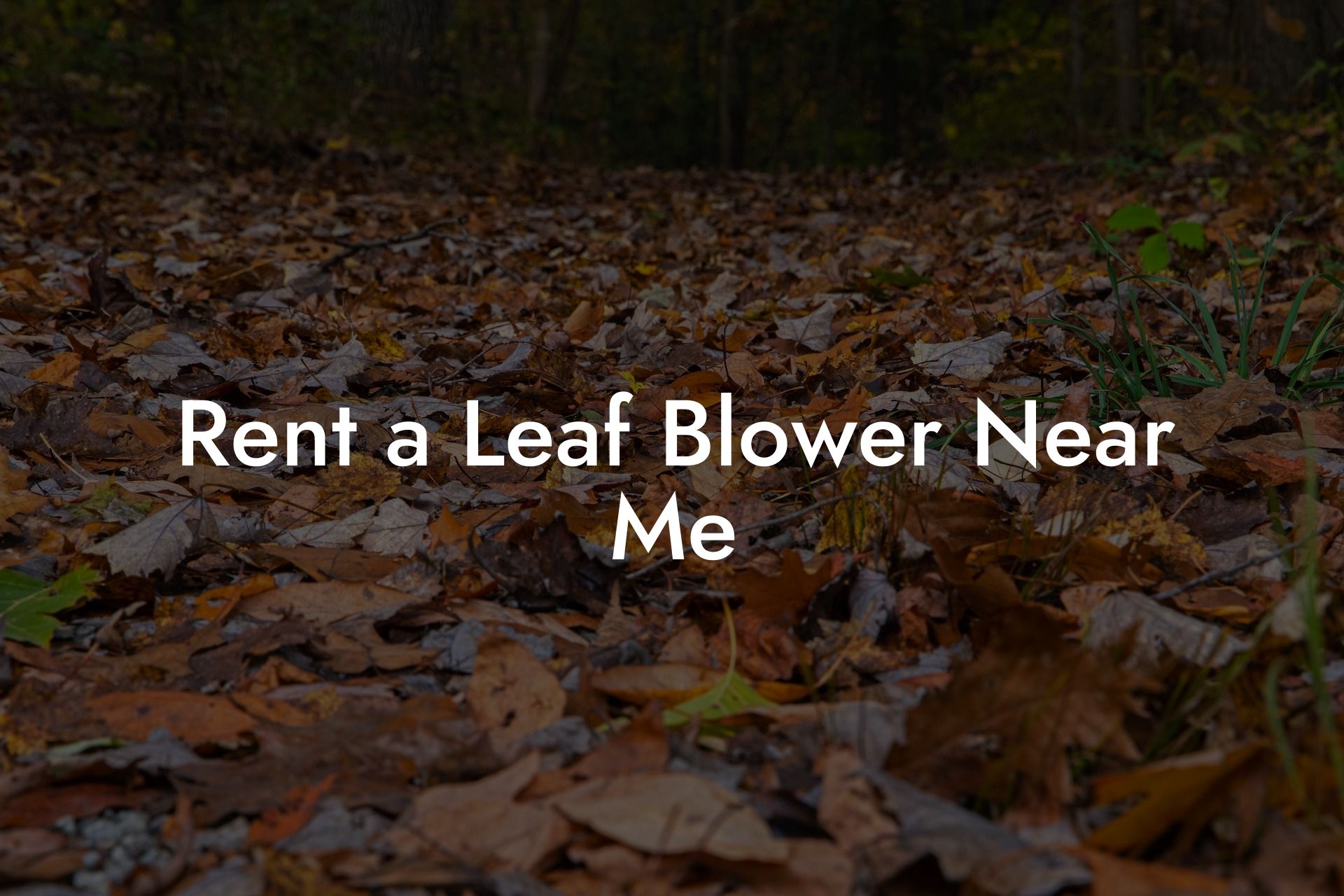 Rent a Leaf Blower Near Me