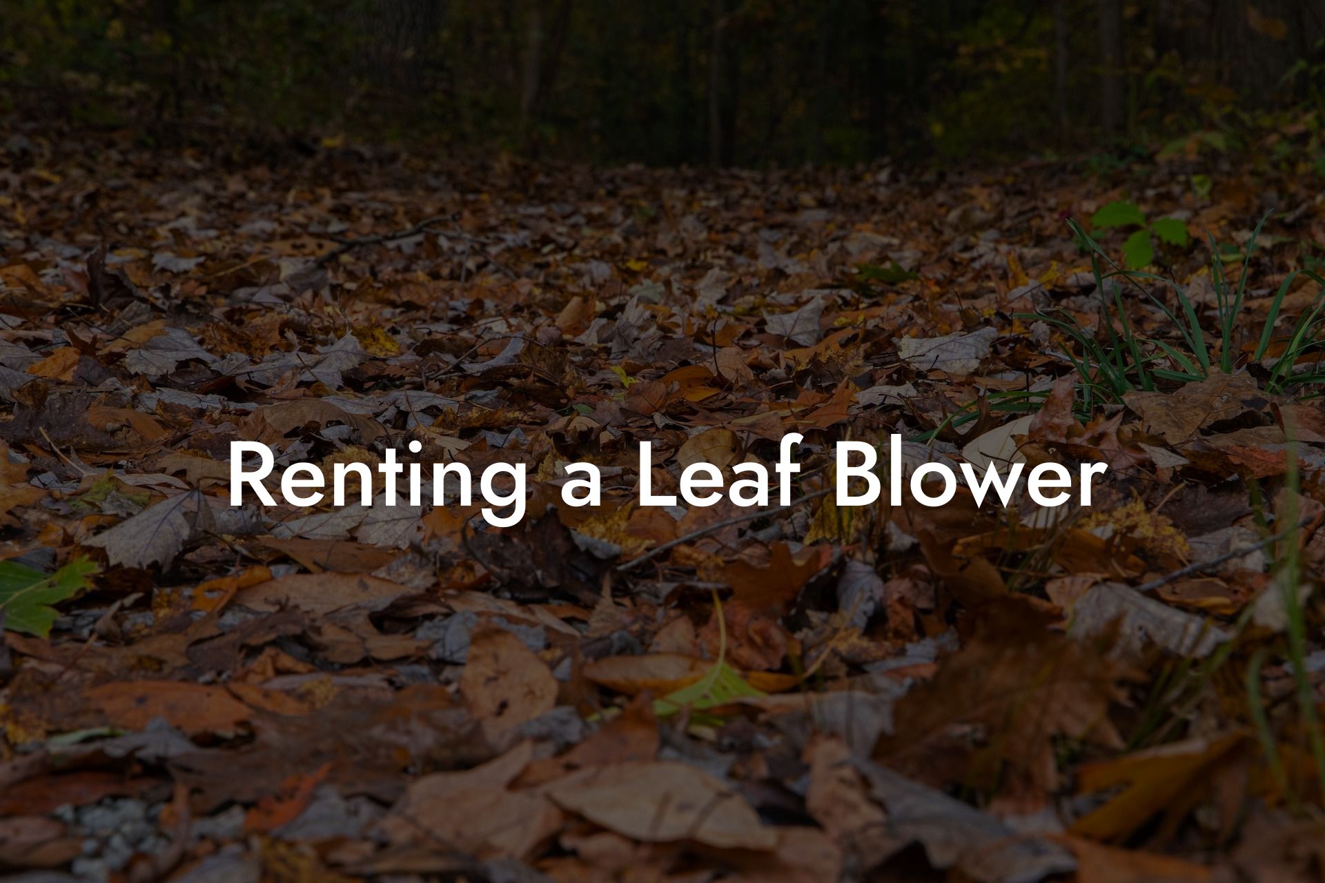 Renting a Leaf Blower