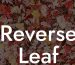 Reverse Leaf Blower