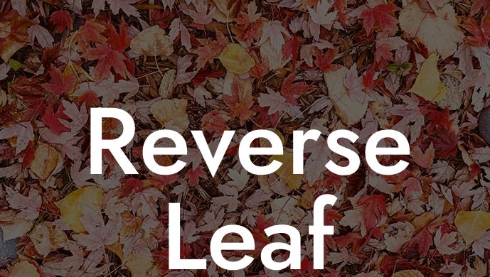 Reverse Leaf Blower