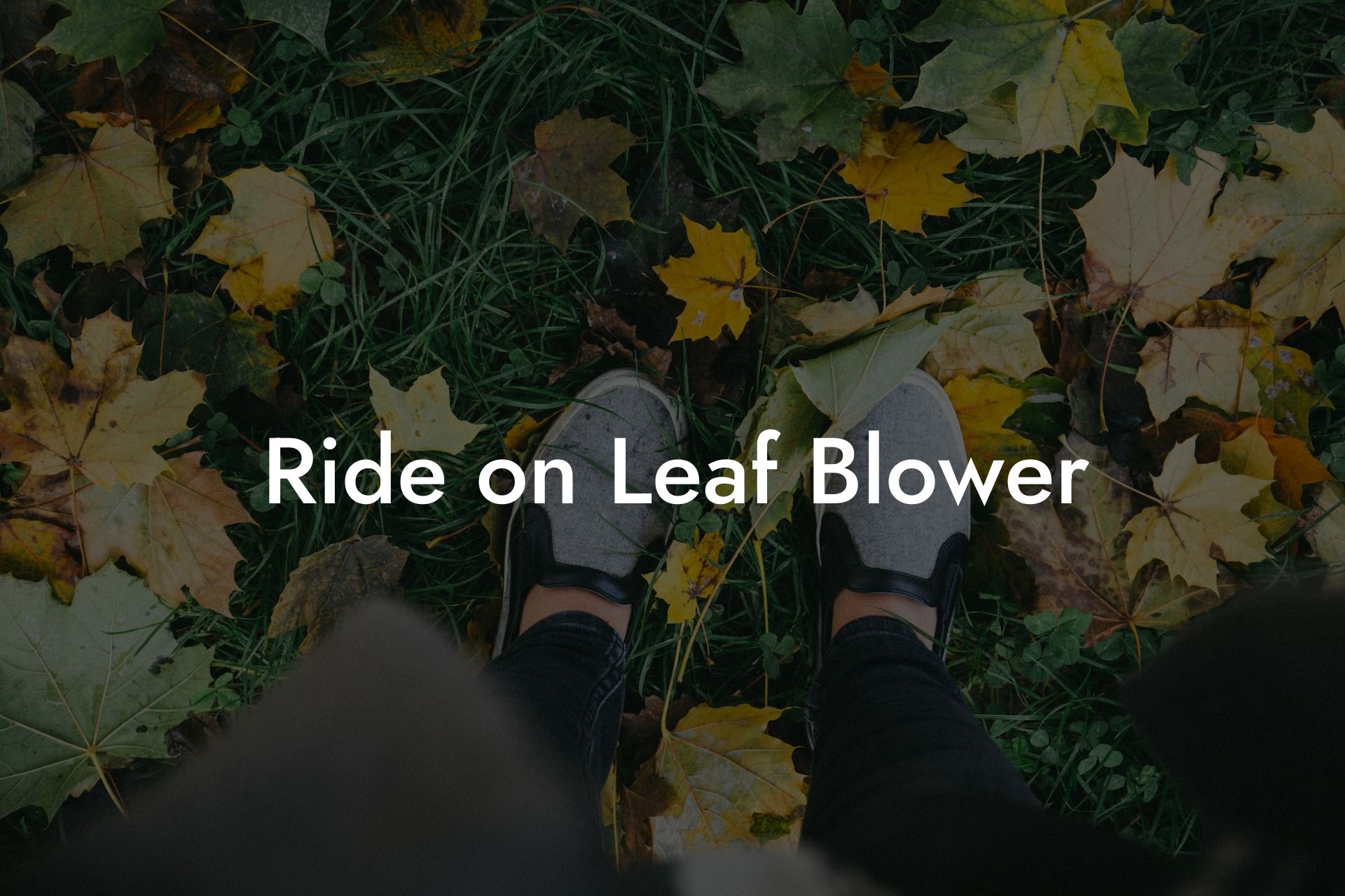 Ride on Leaf Blower